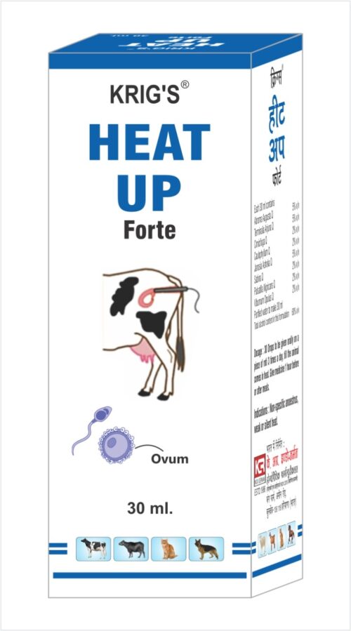 Heat Up Forte (30 ml)