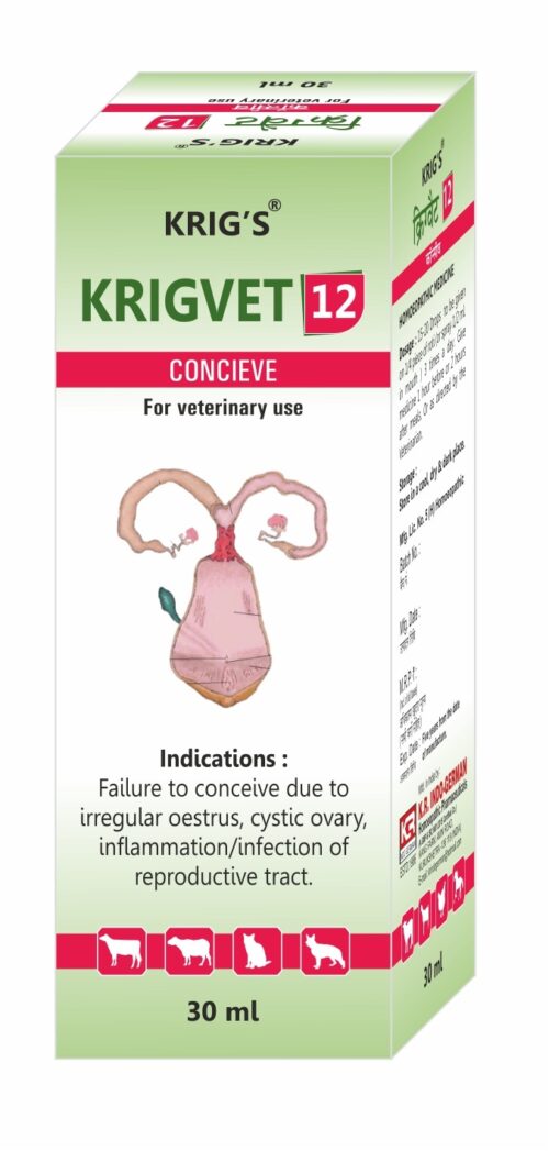 KRIGVET 12 (CONCEIVE)