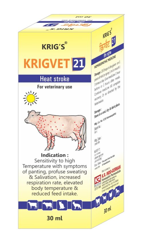 KRIGVET 21 (HEAT STROKE)