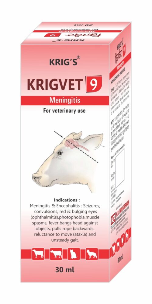 KRIGVET 9 (MENINGITIS)